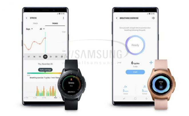 جدیدترین آپدیت اپلیکیشن Samsung Health و ویژگی های آن با قابلیت های برتر 